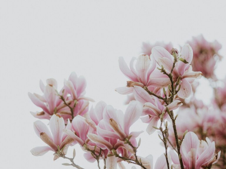 Slow and Seasonal Living in March: Finding Our Family Rhythm